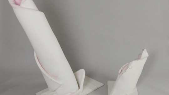 Maria Pinińska-Bereś, "Płonąca żyrafa"