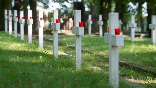 Cmentarzu Garnizonowym w Płocku przy ul. Norbertańskiej. Fot. PAP/ G. Michałowski