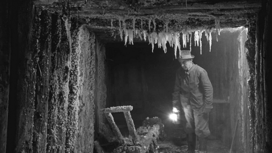 "Siła pasji. Alfons Długosz 1902-1975"