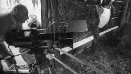 Maciej Kijowski podczas realizacji filmu fabularnego „Głos” (tytuł roboczy „Kukuryku”) w reżyserii Janusza Kondratiuka. 1991 r. Fot. PAP/W. Rozmysłowicz