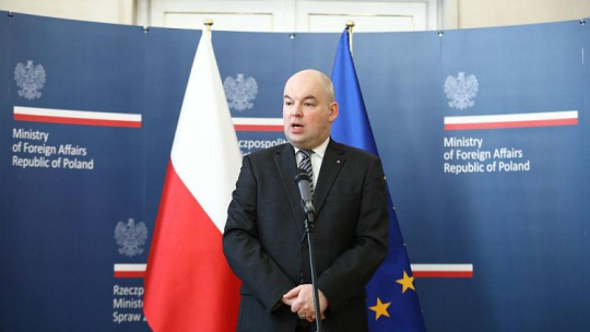 Wiceminister spraw zagranicznych Jan Dziedziczak. Fot. PAP/L. Szymański