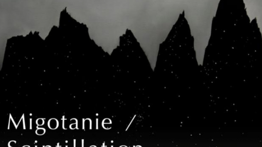 "Migotanie"