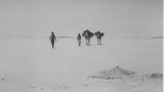 Zdjęcie Witolda Rajkowskiego. Źródło: Antoni Przemysław Kosowski  