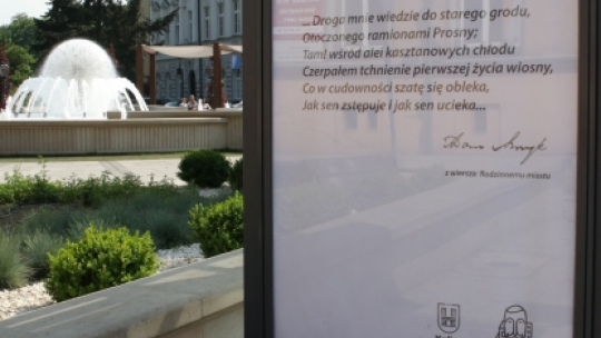 Żródło: UM Kalisz