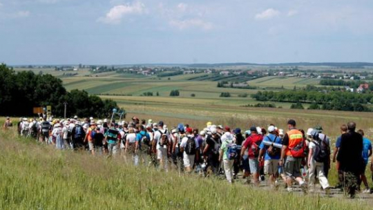 Pielgrzymi w drodze na Jasną Górę. Fot. PAP/D. Delmanowicz