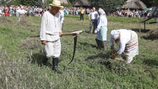 18. Podlaskie Święto Chleba w skansenie Muzeum Rolnictwa im. ks. Krzysztofa Kluka w Ciechanowcu. Fot. PAP/A. Reszko