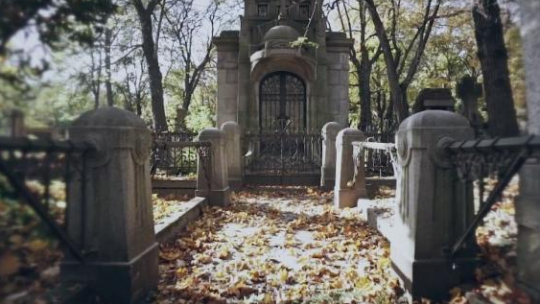 Stare Powązki w Warszawie. Fot. PAP/serwis wideo