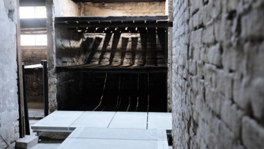 Brzezinka, 18.06.2019. Teren byłego niemieckiego nazistowskiego obozu Auschwitz II-Birkenau, 18 bm. Z okazji oficjalnego zakończenia bezprecedensowej, trwającej cztery lata konserwacji murowanego baraku więźniarskiego zrealizowanej w ramach Globalnego Planu Konserwacji finansowanego ze środków Fundacji Auschwitz-Birkenau, została zorganizowana konferencja prasowa z udziałem dyrektora muzeum i przedstawicieli MKiDN. Fot. PAP/H. Bardo