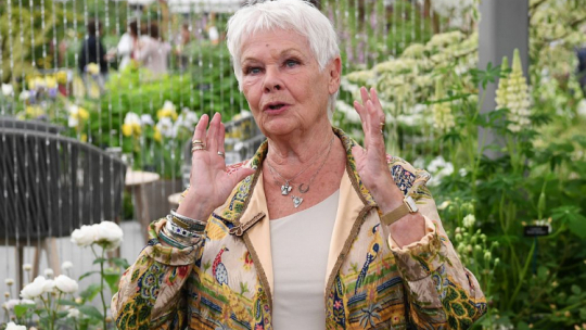 Judi Dench. Fot. PAP/EPA