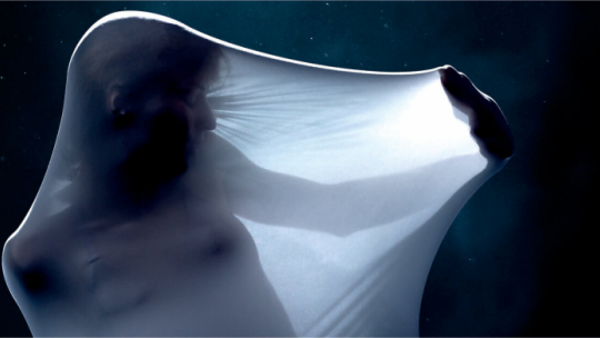 19. Międzynarodowy Festiwal Filmowy Nowe Horyzonty