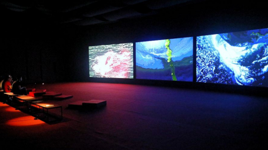 Prezentacja dla mediów wystawy „Alienacje albo następnym razem pożar” w Zachęcie. Fot. PAP/T. Gzell