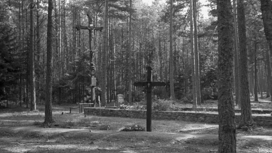 Jeden z wielu zbiorowych grobów, w których spoczywają ofiary tzw. Zbrodni w Piaśnicy. 1958 r. Fot. PAP/E. Hannemann 