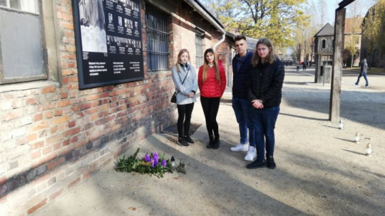 Źródło: Towarzystwo Opieki nad Oświęcimiem