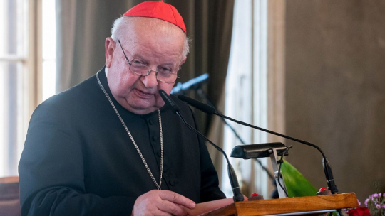 Kardynał Stanisław Dziwisz. Fot. PAP/Ł. Gągulski
