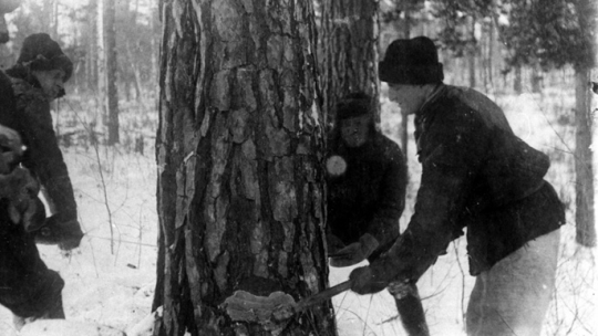 Deportowani w 1940 r. Białojarsk, rejon barnaulski, Ałtajski Kraj. Źródło: IPN