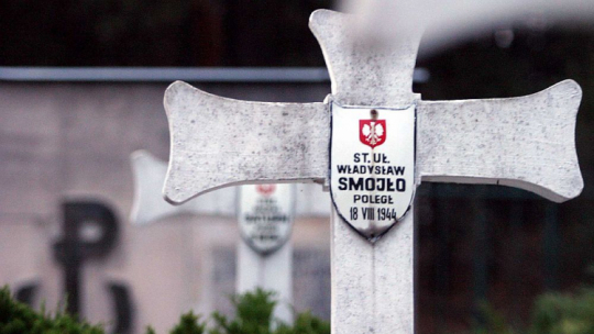 Cmentarz żołnierzy AK poległych w czasie Powstania Warszawskiego. Kampinos/Wiersze, 2005 r. Fot. PAP/P. Kula