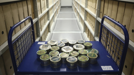 Fot. PAP/P. Supernak