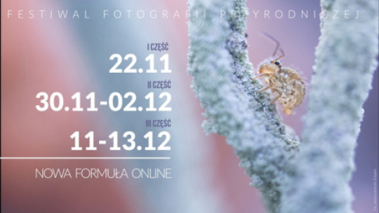 Źródło: Związek Polskich Fotografów Przyrody