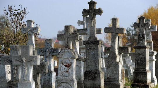 „Lapidarium kamieniarki bruśnieńskiej” na cmentarzu w Lubaczowie. Fot. PAP/D. Delmanowicz