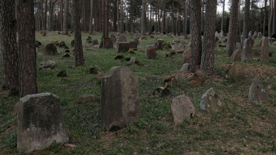 Mizar w Kruszynianach. Fot. PAP/A. Reszko
