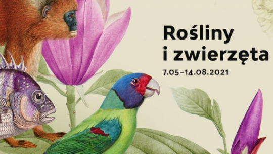 Wystawa „Rośliny i zwierzęta. Atlasy historii naturalnej w epoce Linneusza”. Źródło: Muzeum Pałacu Króla Jana III w Wilanowie
