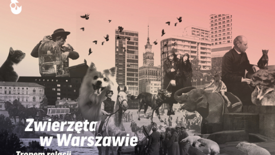 Wystawa „Zwierzęta w Warszawie. Tropem relacji”. Źródło: Muzeum Warszawy