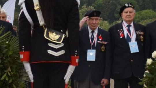 Źródło: www.twitter.com/Kombatanci