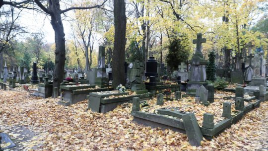 Stare Powązki w Warszawie. Fot. PAP/T. Gzell