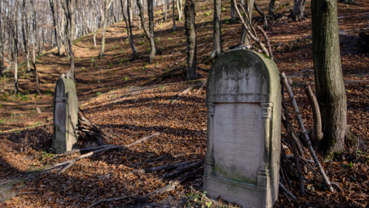 Cmentarz żydowski przy ulicy Czerniawy w Kazimierzu Dolnym. Fot. PAP/W. Jargiło