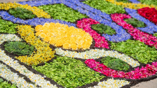 Mieszkańcy Spycimierza i okolicznych wsi układają kwietne dywany przed procesją Bożego Ciała. Spycimierz, 20.06.2019. Fot. PAP/G. Michałowski