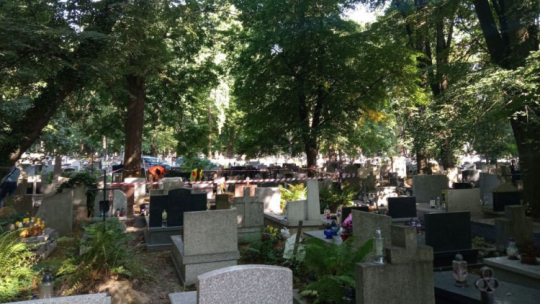 Prace poszukiwawcze na cmentarzu Rakowickim w Krakowie. Fot. IPN