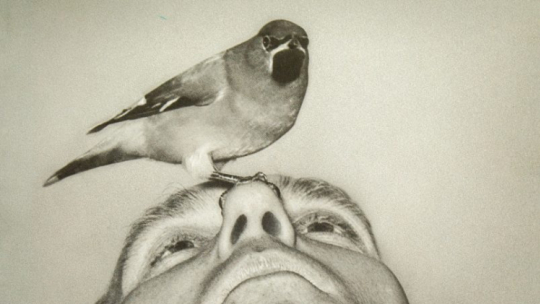 „Włodzimierz Puchalski. Domowroty. Poviernienia. Homing”