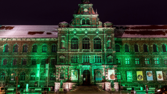 Budynek Muzeum Narodowego we Wrocławiu. Fot. PAP/ M. Kulczyński
