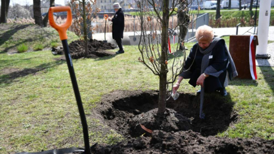 Dzień Pamięci Ofiar Zbrodni Katyńskiej: prezes Stowarzyszenia Rodziny Katyńskiej w Gdańsku Hanna Śliwa-Wielesiuk (P) oraz honorowa prezes Stowarzyszenia Gdańska Rodzina Katyńska Emilia Maćkowiak (L) wysypują ziemię z Katynia podczas uroczystości posadzenia Dębów Pamięci. Gdańsk, 13.04.2023. Fot. PAP/A. Warżawa