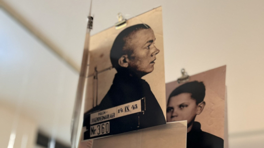 Źródło: www.twitter.com/muzeumdp