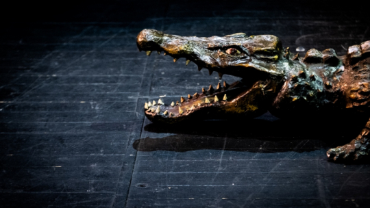 Źródło: Teatr Narodowy/M. Ankiersztejn