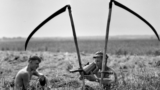 Państwowe Przedsiębiorstwo Gospodarki Rolnej Wizna – Grądy-Woniecko w czasie sianokosów latem 1966 r. Fot. PAP/J. Morek