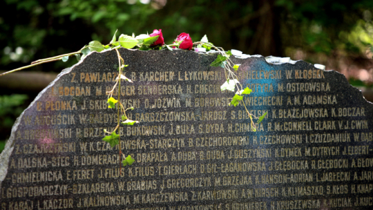Tablica upamiętniająca ofiary katastrofy lotniczej w lesie kabackim, fot. PAP/T. Gzell