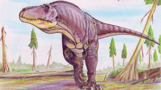 Tarbosaurus. Źródło: Wikipedia