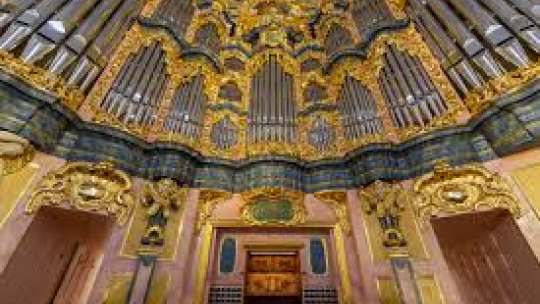 Organy we wrocławskiej katedrze, fot. wroclaw.pl/M. Pasiewicz
