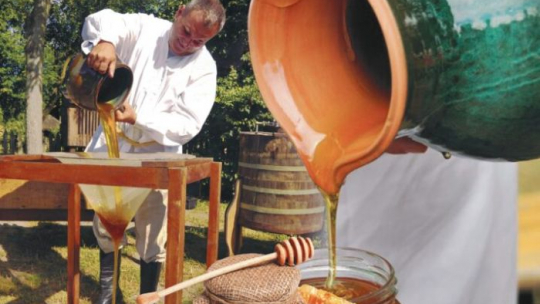 „Miodobranie w skansenie” w Muzeum Wsi Mazowieckiej