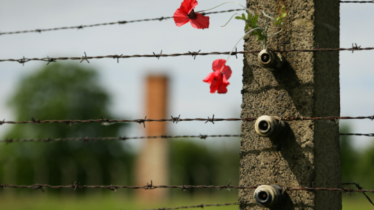Ogrodzenie byłego niemieckiego obozu koncentracyjnego Auschwitz. Fot. PAP/J. Praszkiewicz