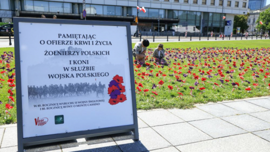 Harcerze podczas akcji „sadzenia” sztucznych maków na trawniku na pl. Piłsudskiego. Warszawa, 14.08.2024. Fot. PAP/S. Pulcyn