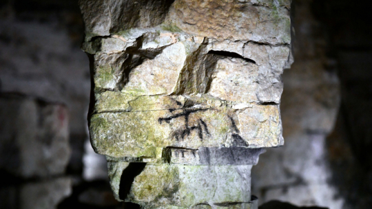 Muzeum Archeologicznego i Rezerwatu Krzemionki PAP/Piotr Polak