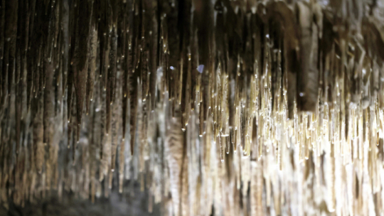 Wapienna jaskinia krasowa Raj w Chęcinach (woj. świętokrzyskie), jedno ze stanowisk Geoparku Świętokrzyskiego. PAP/Piotr Polak