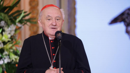 Metropolita warszawski kard. Kazimierz Nycz. Fot. PAP/T. Gzell