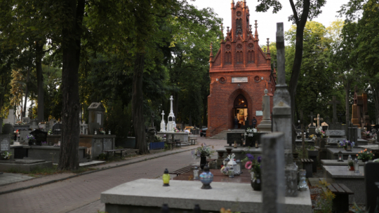 Groby na Starym Cmentarzu w Płocku. Fot. PAP/S. Łabiński 