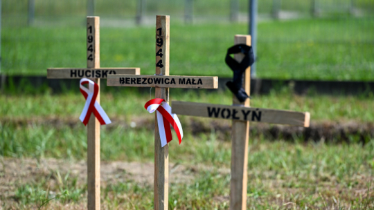 Drewniane krzyże upamiętniające Polaków zamordowanych na Wołyniu. PAP/Darek Delmanowicz