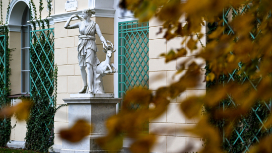 Jesień w zespole zamkowo-parkowym w Łańcucie w październiku 2024 r. Fot. PAP/D. Delmanowicz 