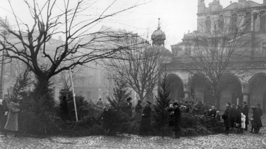 Sprzedaż choinek na Rynku Głównym przed Sukiennicami w Krakowie, 1939 – 1945. /NAC